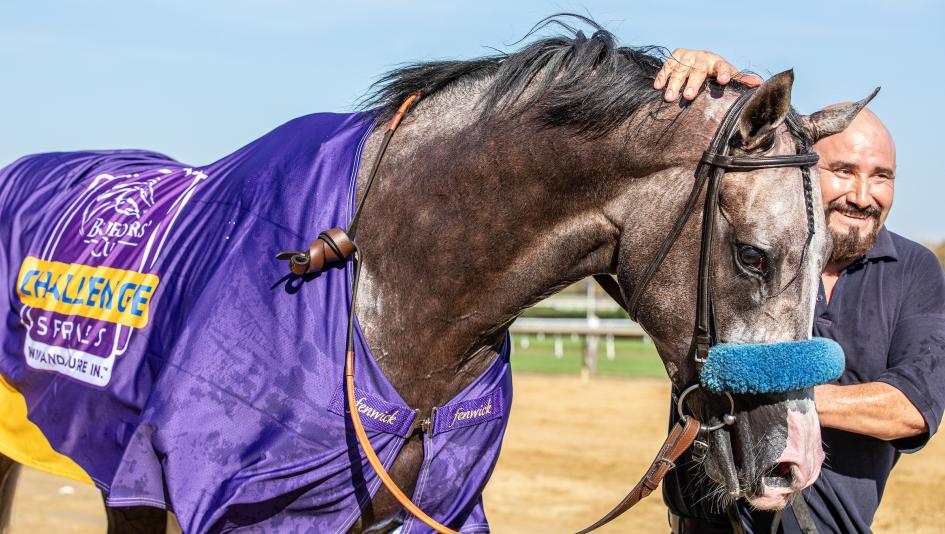 Napoleon Solo, Chad Summers, Champagne Stakes, Fountain of Youth Stakes, Gulfstream Park, America's Best Racing, horse racing, ABR